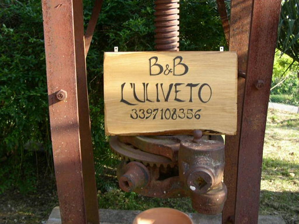 Вілла L'Uliveto Montebuono  Екстер'єр фото